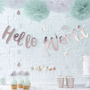 Hello World Back Drop