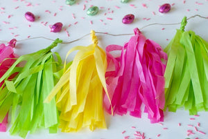 DYI Tissue Paper Tassel Garland